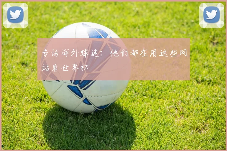 专访海外球迷:他们都在用这些网站看世界杯