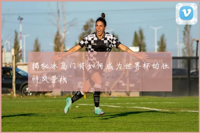 揭秘冰岛门将如何成为世界杯的独特风景线