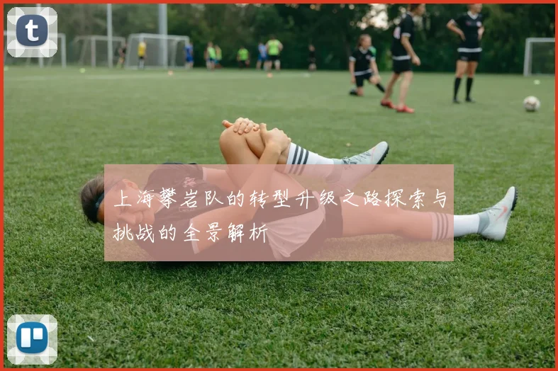 上海攀岩队的转型升级之路探索与挑战的全景解析