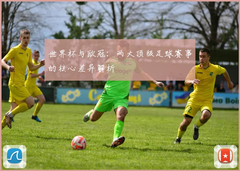 世界杯与欧冠：两大顶级足球赛事的核心差异解析