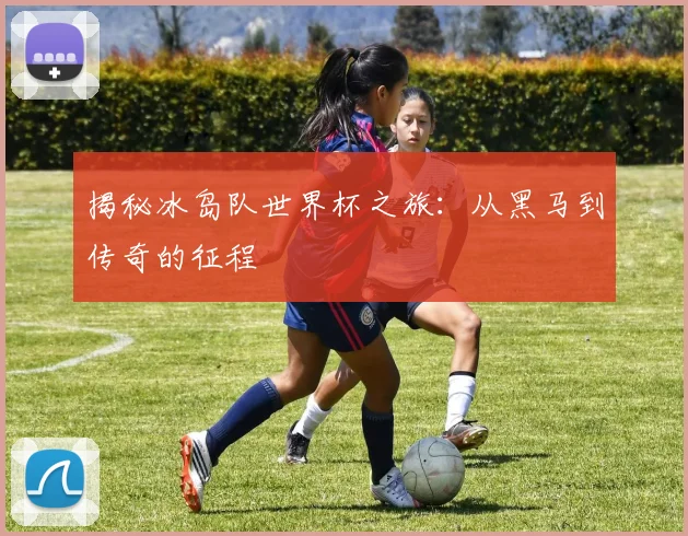 揭秘冰岛队世界杯之旅：从黑马到传奇的征程