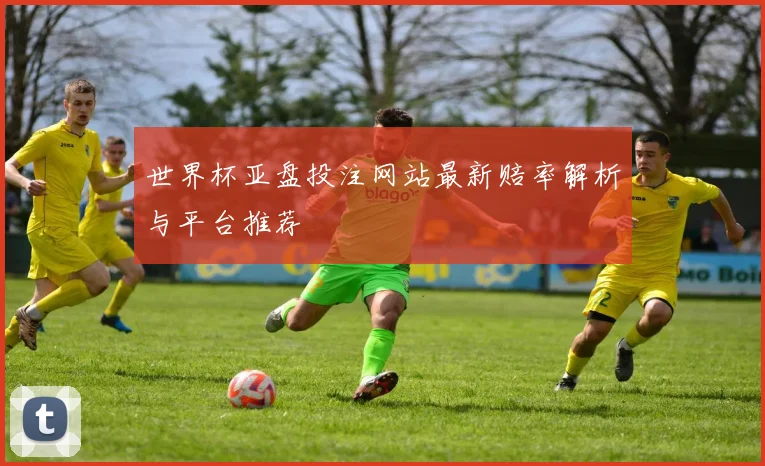 世界杯亚盘投注网站最新赔率解析与平台推荐