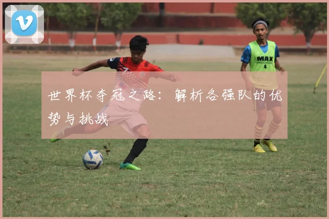 世界杯夺冠之路：解析各强队的优势与挑战