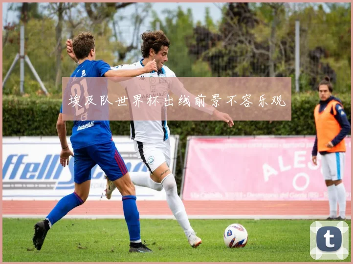 埃及队世界杯出线前景不容乐观