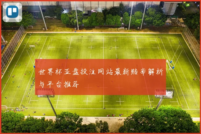 世界杯亚盘投注网站最新赔率解析与平台推荐