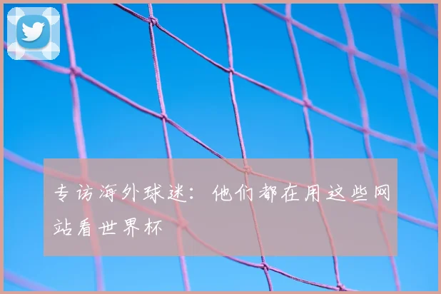 专访海外球迷：他们都在用这些网站看世界杯